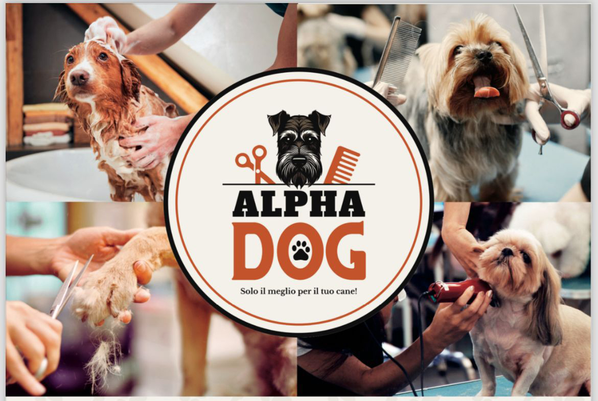 Scopri di più su Alpha Dog